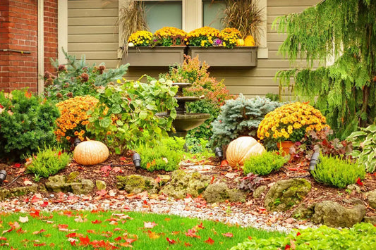 Fall Garden Prep: Essential Organic Fertilizer Schedule for September
