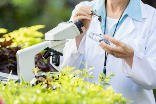 CDFA vs OMRI Organic Certification: Why We Choose CDFA Organic Certification