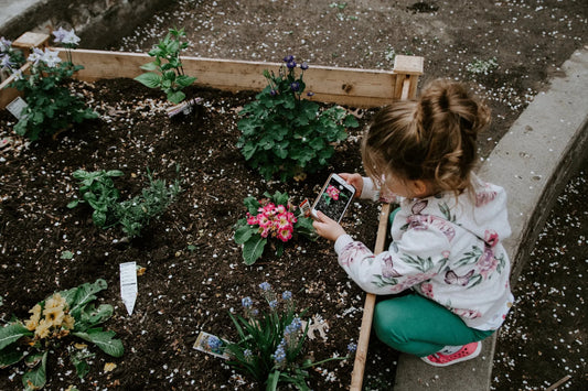 Raised Garden Bed Care - Elm Dirt