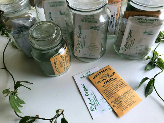 Seeds or Starts - Elm Dirt