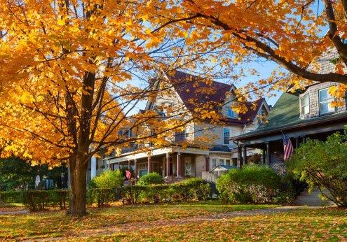 The Dos and Don'ts of Fall Lawn Care - Elm Dirt