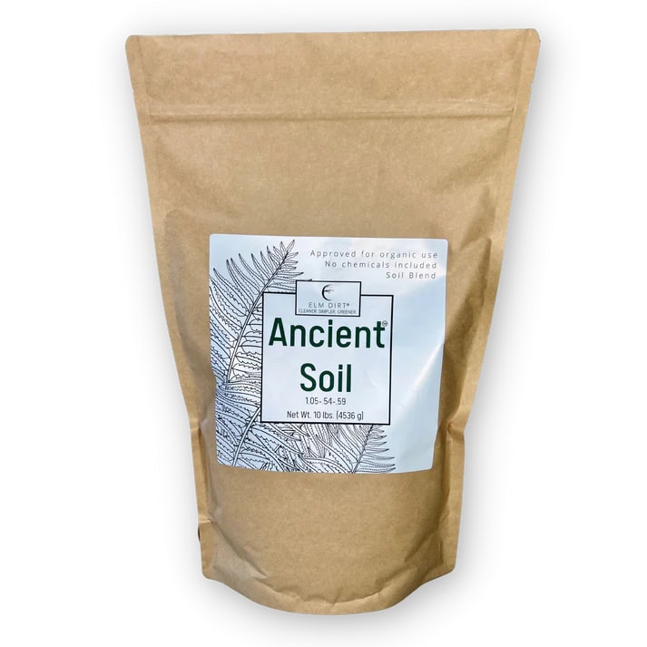 Ancient Soil