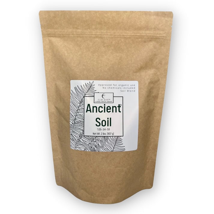 Ancient Soil