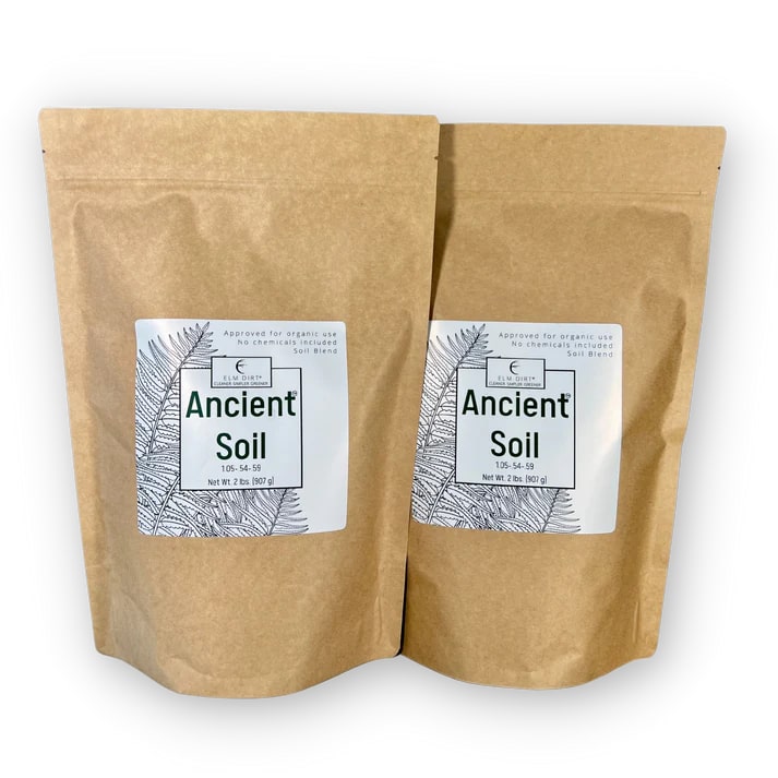 Ancient Soil