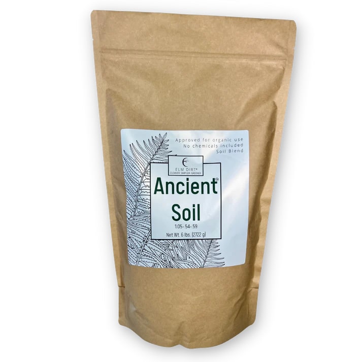 Ancient Soil