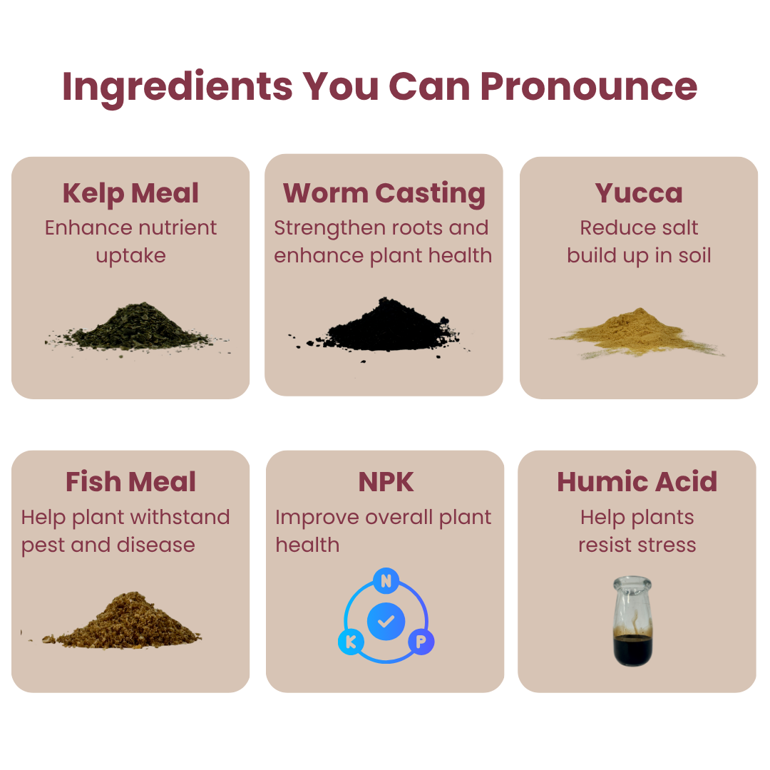 Details on different Bloom Juice ingredients
