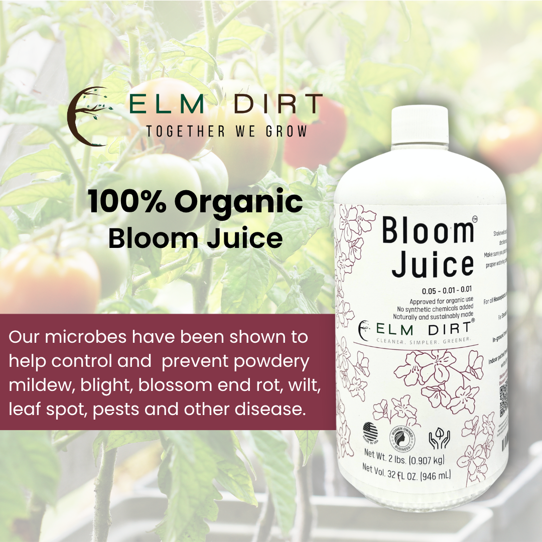 Bottle of Elm Dirt Bloom Juice with tomato plants in the background describing benefits of our microbes