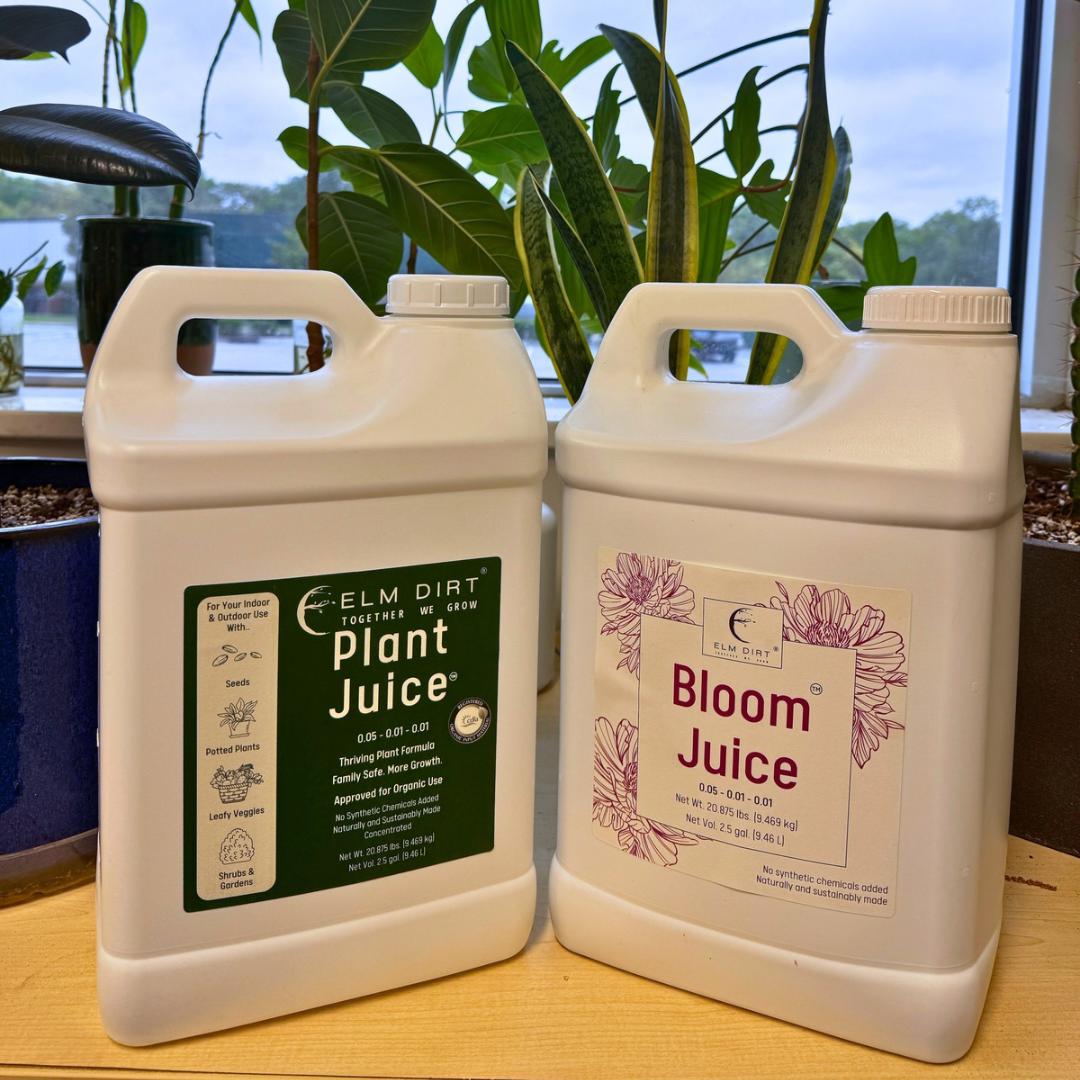 2.5 gallons of Elm Dirt's Plant Juice and Bloom Juice with plants in the background