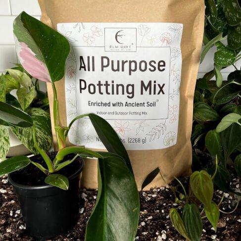 multi purpose potting mix Peat-Free All-Purpose Potting Mix with Ancient Soil