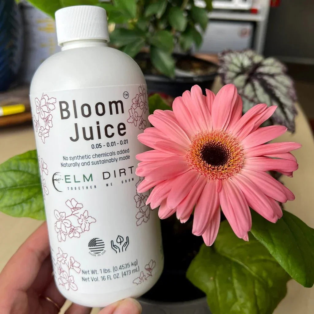 Bloom Juice - Our Award - Winning Formula for Spectacular Flowers - Elm Dirt -