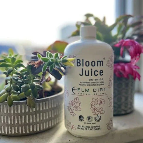 Bloom Juice - Our Award - Winning Formula for Spectacular Flowers - Elm Dirt -