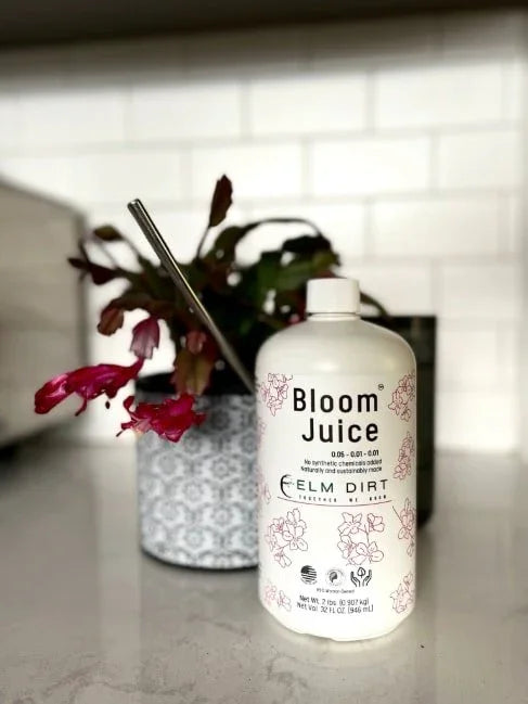 Bloom Juice - Our Award - Winning Formula for Spectacular Flowers - Elm Dirt -