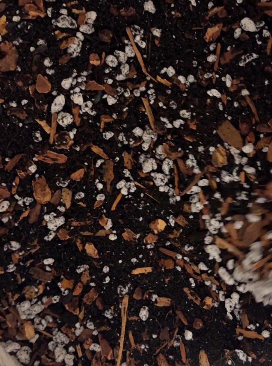 Desert Rose Soil Mix - Elm Dirt -