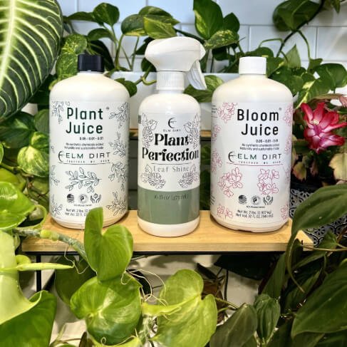 plant caretaker Plant Care Kit for Indoor Plants