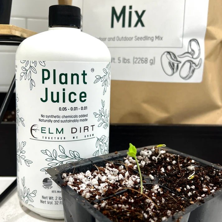 Seed Starting Bundle - Elm Dirt -