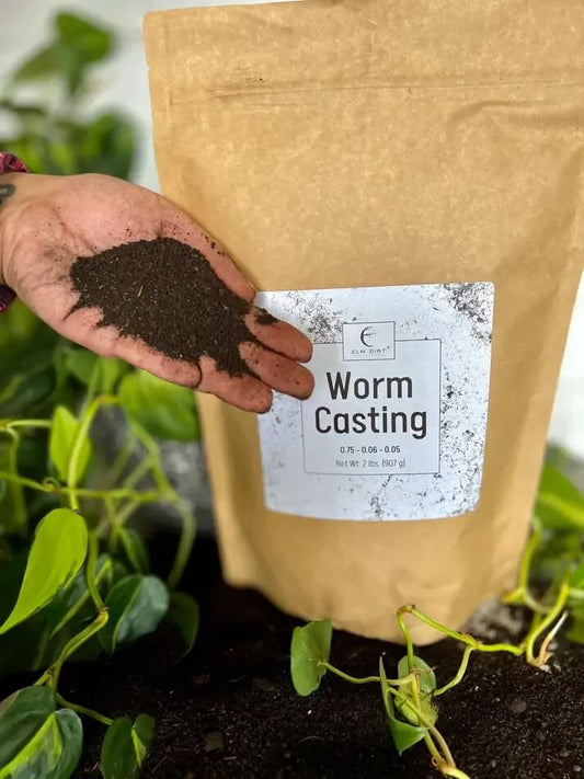 Worm Castings - Elm Dirt -