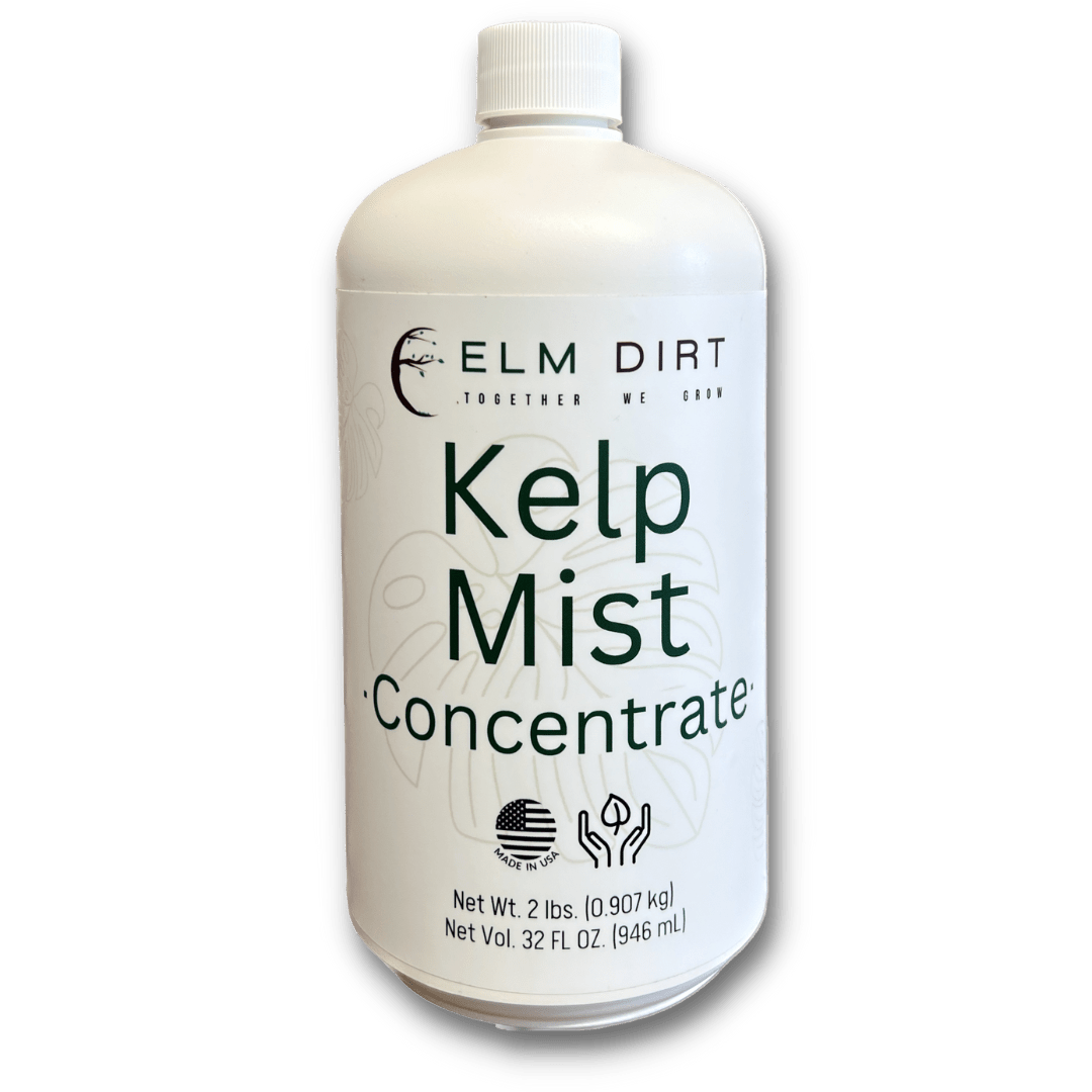 Kelp Mist - Elm Dirt -