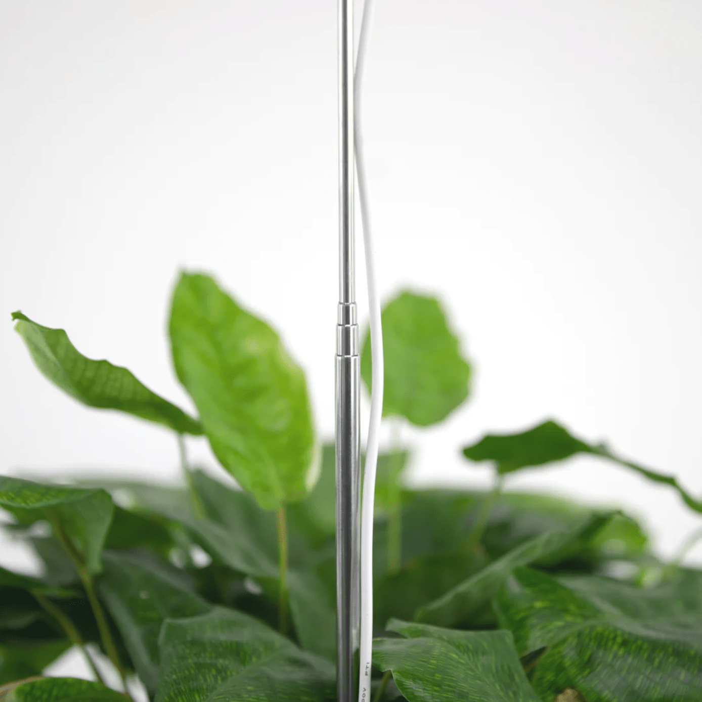 LED Plant Light - Elm Dirt -