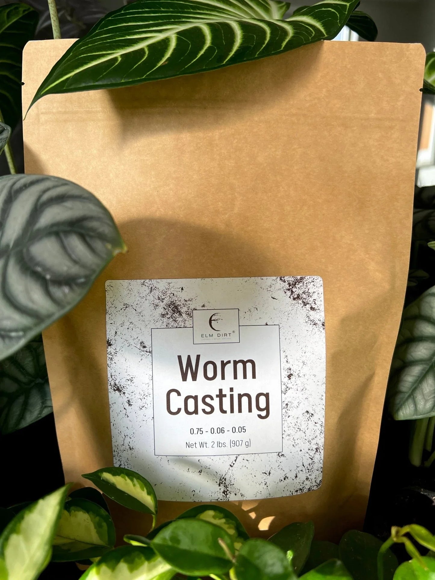 Worm Castings - Elm Dirt -
