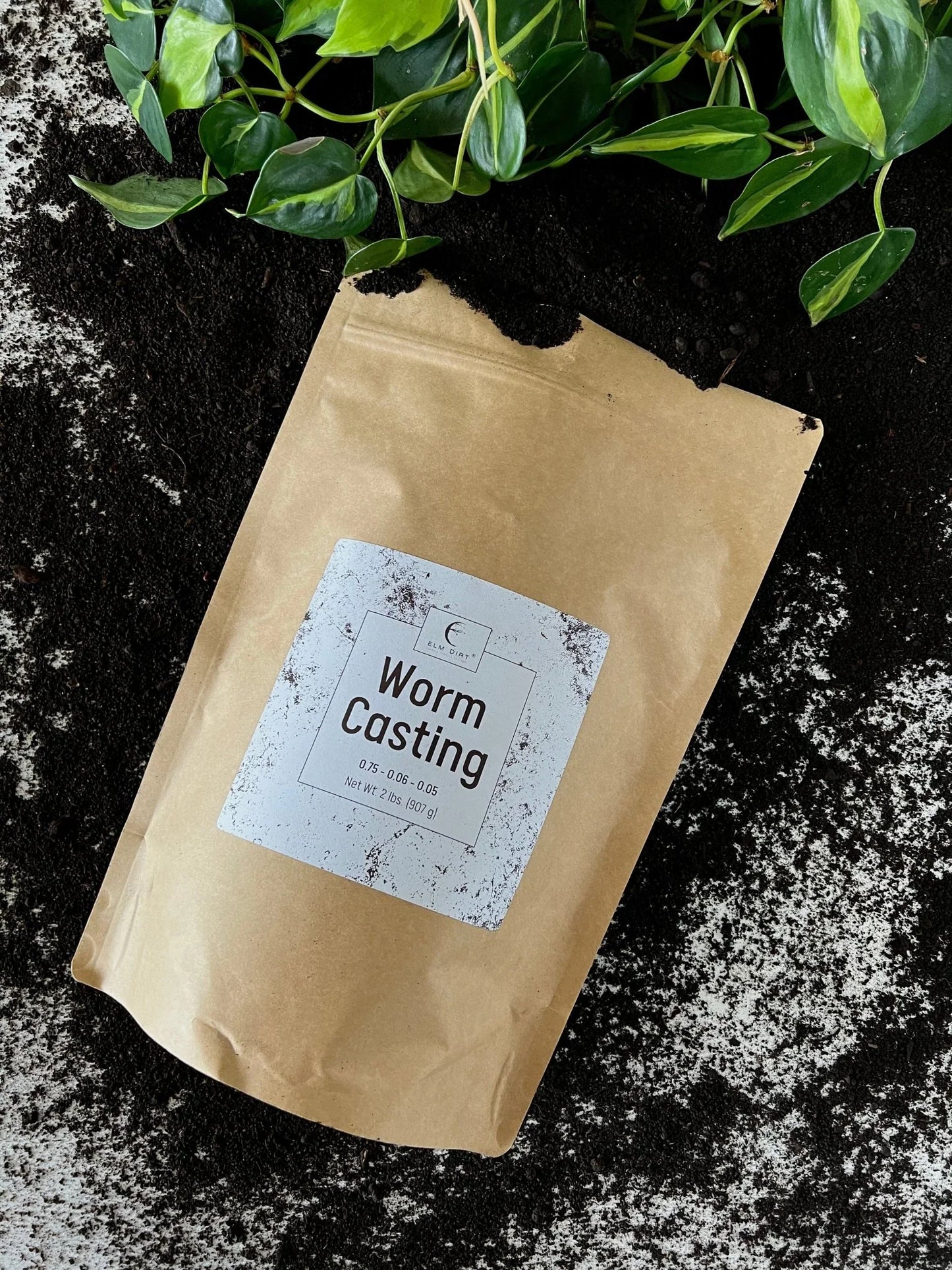 Worm Castings - Elm Dirt -