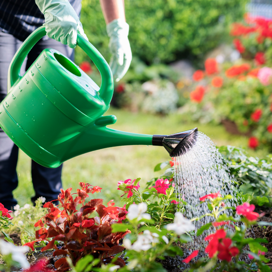 What to Add to Your Garden Soil Before You Plant This Spring