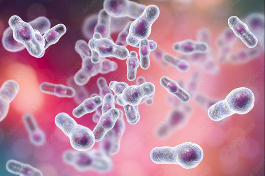 Gluconobacter: The Nutrient-Releasing Microbe That Makes Your Fertilizer Work Harder