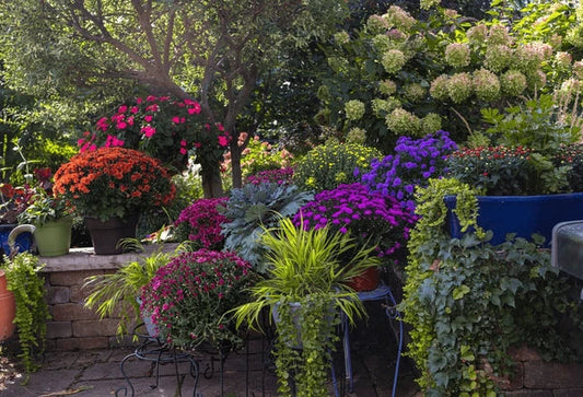 2026 Gardening Trends: What's Popular in Gardens This Year