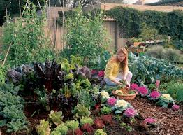 Kale, Spinach, and Lettuce: The Fall Crop Trio That Practically Grows Itself