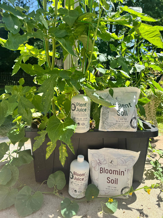 10 Reasons Why Elm Dirt is the Best Liquid Fertilizer Out There