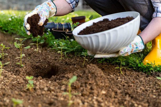 Garden Soil vs. Potting Mix: Which One Are You Actually Supposed to Use Where?