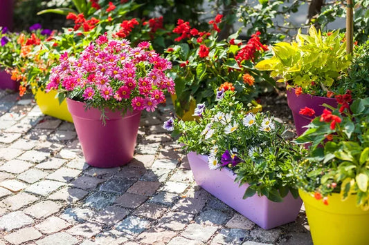 What Happens If You Stop Feeding Your Plants Mid-Season (I Tested It So You Don't Have To)