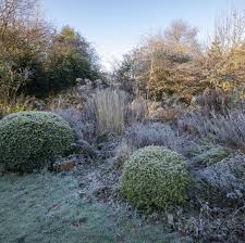 Last Frost Date Guide: When to Actually Trust It