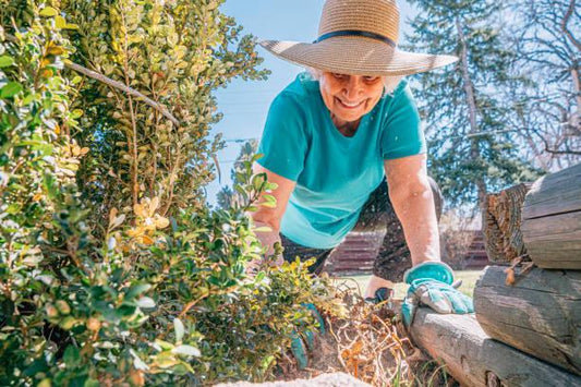 Year-End Garden Planning: Preparing Your Soil for Spring Success