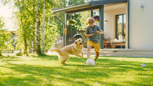 What Synthetic Chemicals in Your Yard Are Actually Doing to Your Kids and Pets