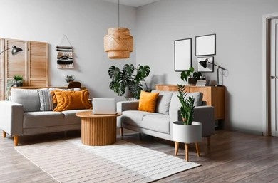 Indoor Plant Food: Everything You Need to Know for Thriving Houseplants