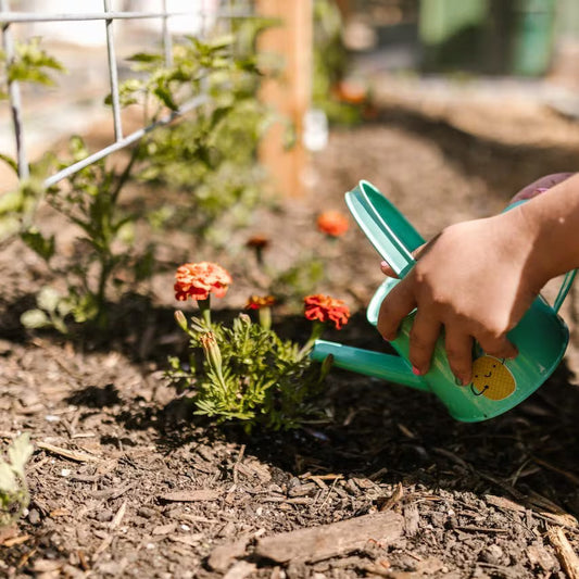 Mulching for a Healthier Garden: A Complete How-To