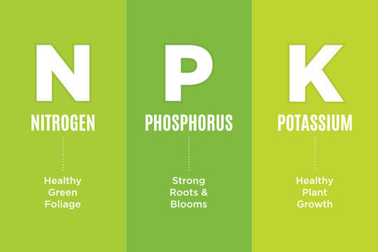 Organic Fertilizer NPK Explained: What Those Three Numbers Actually Mean for Your Garden