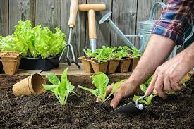 Memorial Day Weekend Garden Refresh: 6 Things to Do This Weekend