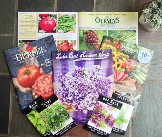 Seed Catalogs Guide: How to Choose What to Grow