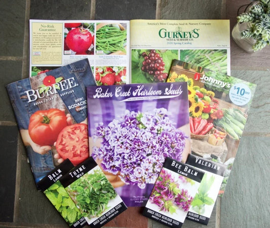 The Seed Catalog Strategy: How to Plan Next Year's Garden Before Everyone Else Does