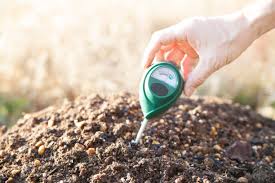 Garden Soil Testing: DIY vs. Lab (When to Use Each)