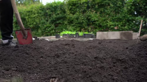 Organic Garden Soil for Raised Beds: How to Build It, Maintain It, and Make It Last