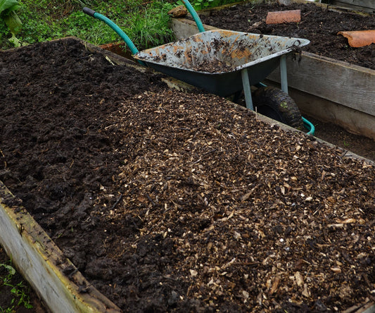 The No-Dig Gardening Method: Healthier Soil with Less Work