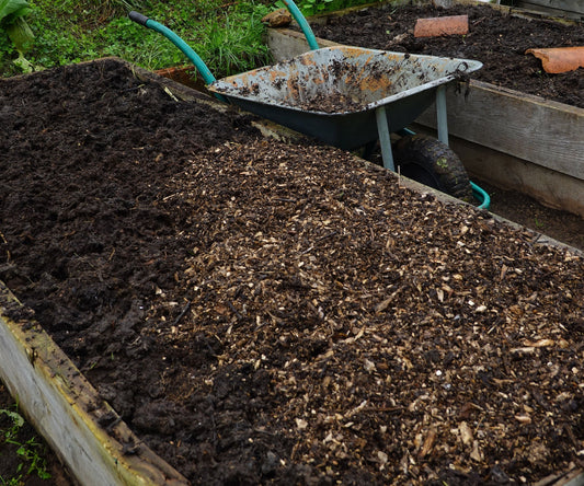 How to Amend Garden Soil in Fall for a Better Spring (Do It Now, Thank Yourself Later)
