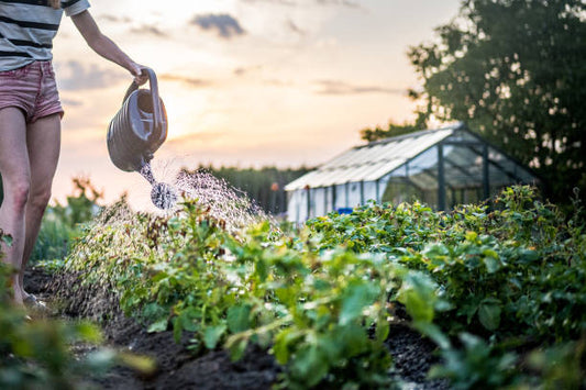 Liquid Organic Fertilizer: Benefits, Types & Application Guide