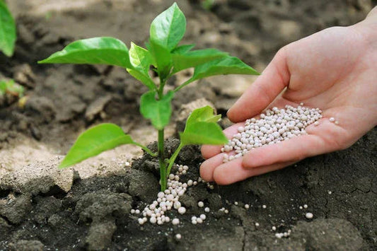 Is Your Garden Food Really Safe? What the Label Doesn't Tell You