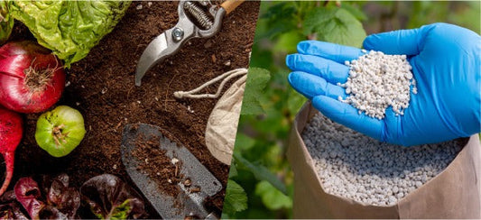 Is Miracle-Gro Organic? The Answer Surprised Me