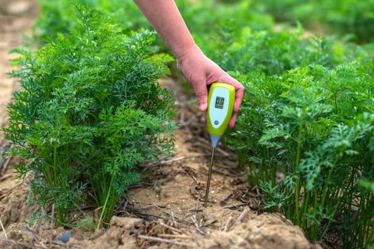 Organic Fertilizer Runoff: Is Your Garden Hurting the Watershed?