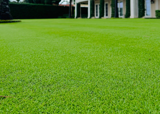 Why Organic Lawn Care Is Cheaper in the Long Run (With Real Numbers)