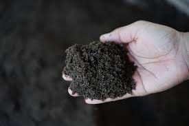 The No-Dig Garden Bed Method: Build Richer Soil Without Turning a Single Spade
